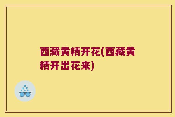 西藏黄精开花(西藏黄精开出花来)