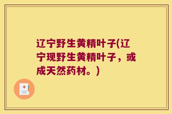 辽宁野生黄精叶子(辽宁现野生黄精叶子，或成天然药材。)
