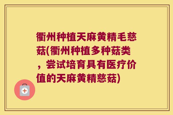 衢州种植天麻黄精毛慈菇(衢州种植多种菇类，尝试培育具有医疗价值的天麻黄精慈菇)
