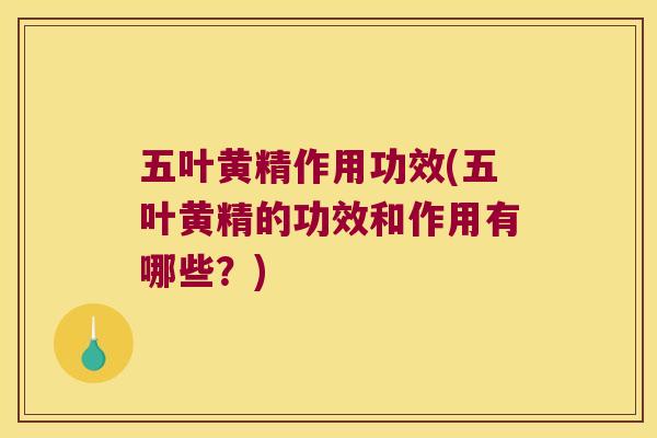 五叶黄精作用功效(五叶黄精的功效和作用有哪些?) 五叶黄精作用功效(五叶黄精的功效和作用有哪些?)