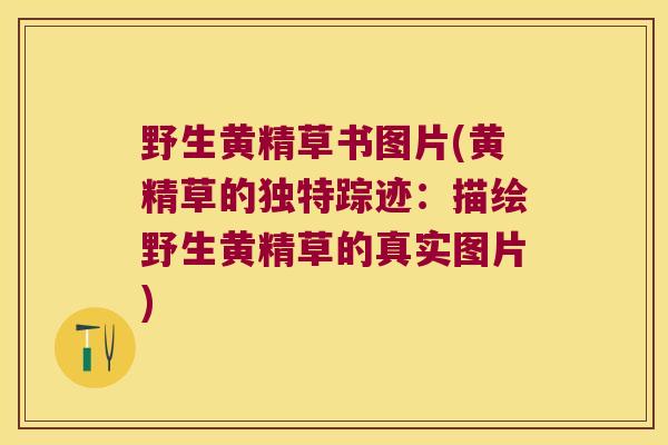 野生黄精草书图片(黄精草的独特踪迹：描绘野生黄精草的真实图片)