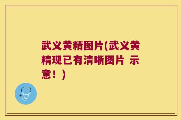 武义黄精图片(武义黄精现已有清晰图片 示意!) 武义黄精图片(武义黄精现已有清晰图片 示意!)
