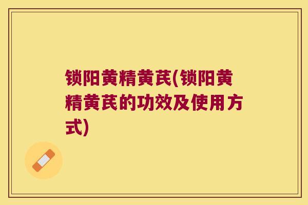 锁阳黄精黄芪(锁阳黄精黄芪的功效及使用方式) 锁阳黄精黄芪(锁阳黄精黄芪的功效及使用方式)
