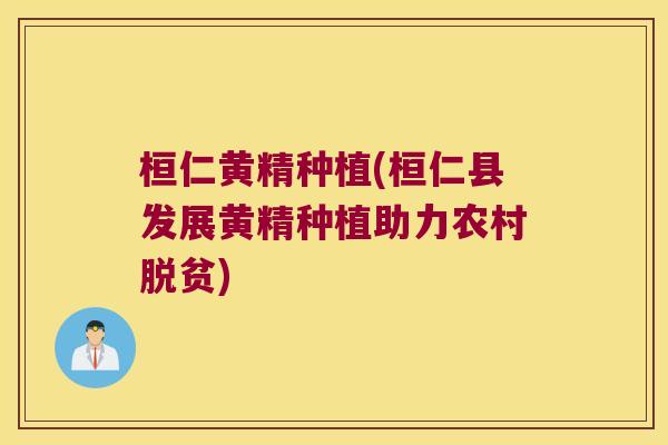 桓仁黄精种植(桓仁县发展黄精种植助力农村脱贫) 桓仁黄精种植(桓仁县发展黄精种植助力农村脱贫)