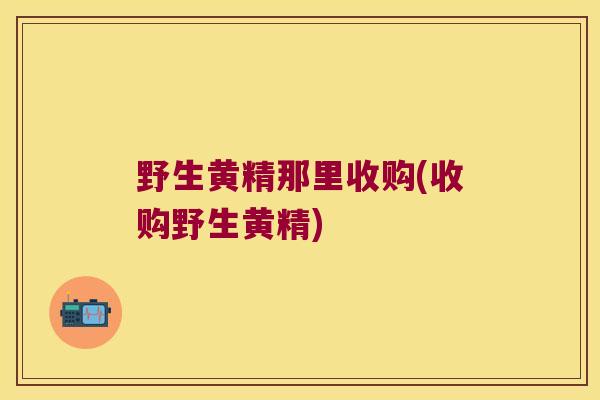 野生黄精那里收购(收购野生黄精) 野生黄精那里收购(收购野生黄精)
