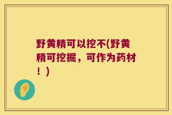 野黄精可以挖不(野黄精可挖掘,可作为药材!) 野黄精可以挖不(野黄精可挖掘,可作为药材!)