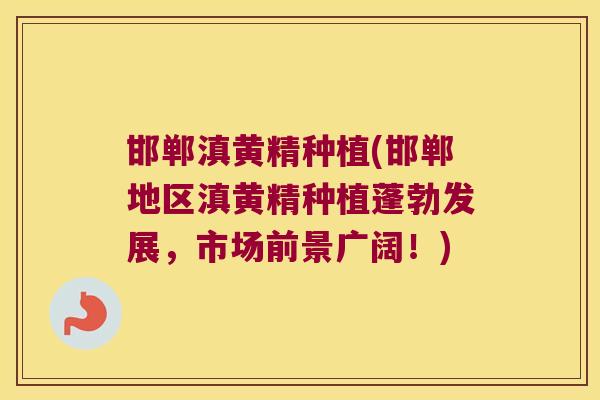 邯郸滇黄精种植(邯郸地区滇黄精种植蓬勃发展,市场前景广阔!) 邯郸滇黄精种植(邯郸地区滇黄精种植蓬勃发展,市场前景广阔!)