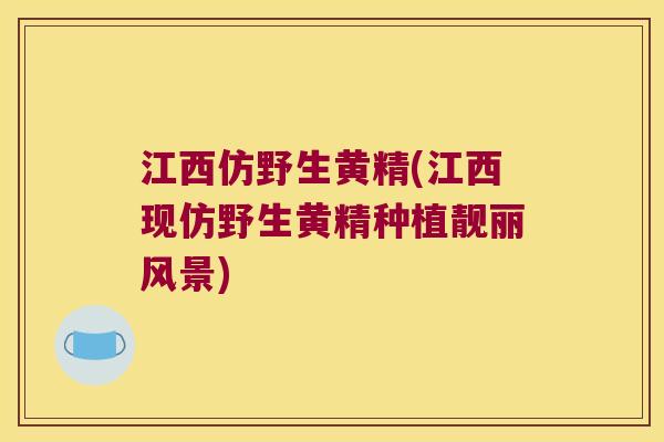 江西仿野生黄精(江西现仿野生黄精种植靓丽风景) 江西仿野生黄精(江西现仿野生黄精种植靓丽风景)