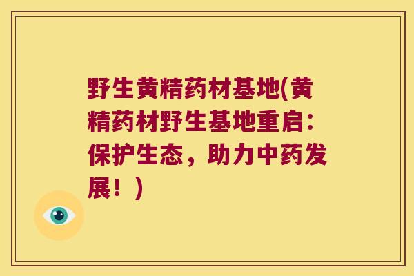 野生黄精药材基地(黄精药材野生基地重启:保护生态,助力发展!) 野生黄精药材基地(黄精药材野生基地重启:保护生态,助力发展!)