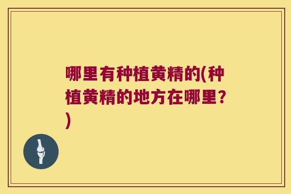 哪里有种植黄精的(种植黄精的地方在哪里?) 哪里有种植黄精的(种植黄精的地方在哪里?)