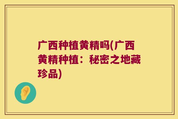 广西种植黄精吗(广西黄精种植:秘密之地藏珍品) 广西种植黄精吗(广西黄精种植:秘密之地藏珍品)