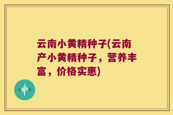 云南小黄精种子(云南产小黄精种子，营养丰富，价格实惠)