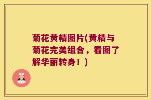 菊花黄精图片(黄精与菊花完美组合，看图了解华丽转身！)
