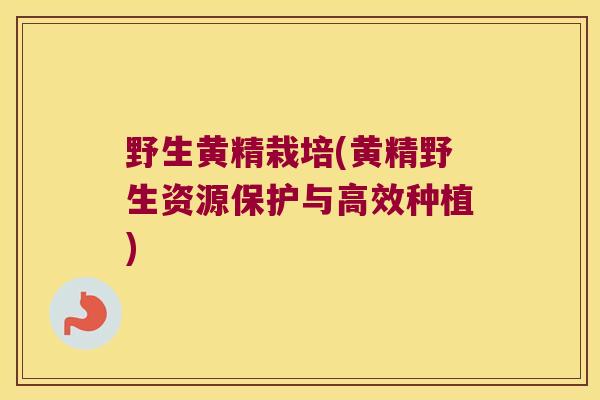 野生黄精栽培(黄精野生资源保护与高效种植)
