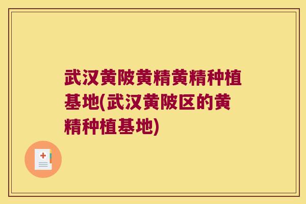 武汉黄陂黄精黄精种植基地(武汉黄陂区的黄精种植基地)