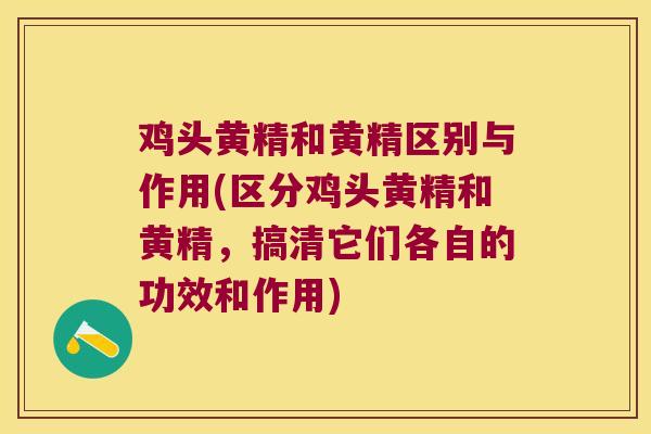 鸡头黄精和黄精区别与作用(区分鸡头黄精和黄精，搞清它们各自的功效和作用)