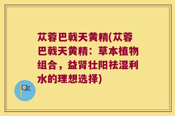 苁蓉巴戟天黄精(苁蓉巴戟天黄精:草本植物组合,益壮阳祛湿利水的理想选择) 苁蓉巴戟天黄精(苁蓉巴戟天黄精:草本植物组合,益壮阳祛湿利水的理想选择)