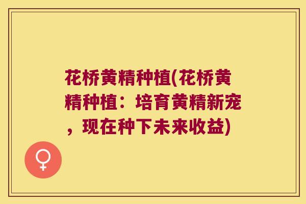 花桥黄精种植(花桥黄精种植：培育黄精新宠，现在种下未来收益)