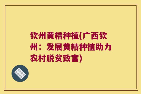 钦州黄精种植(广西钦州：发展黄精种植助力农村脱贫致富)