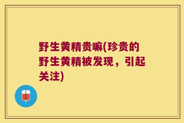 野生黄精贵嘛(珍贵的野生黄精被发现，引起关注)