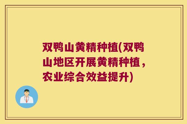 双鸭山黄精种植(双鸭山地区开展黄精种植，农业综合效益提升)