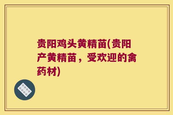 贵阳鸡头黄精苗(贵阳产黄精苗，受欢迎的禽药材)