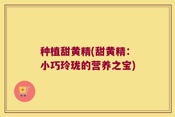 种植甜黄精(甜黄精:小巧玲珑的营养之宝) 种植甜黄精(甜黄精:小巧玲珑的营养之宝)