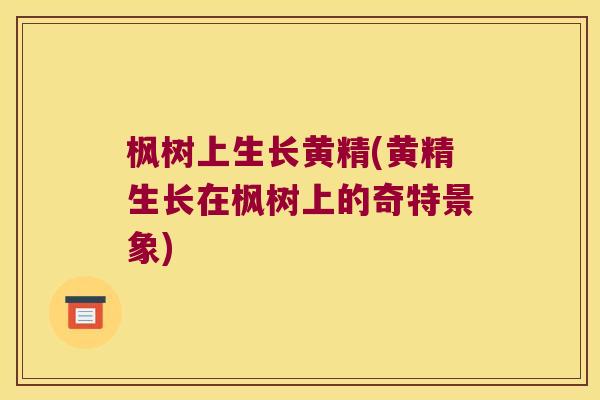 枫树上生长黄精(黄精生长在枫树上的奇特景象) 枫树上生长黄精(黄精生长在枫树上的奇特景象)