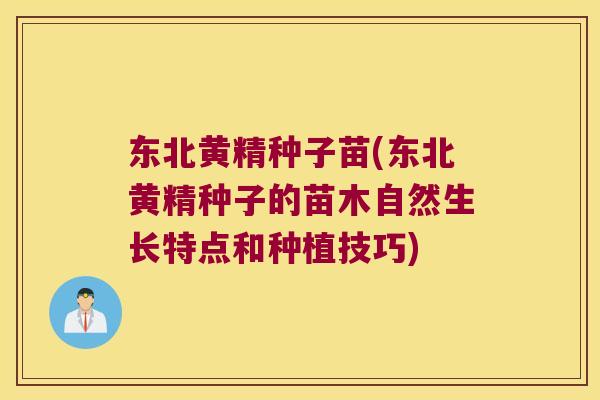 东北黄精种子苗(东北黄精种子的苗木自然生长特点和种植技巧)