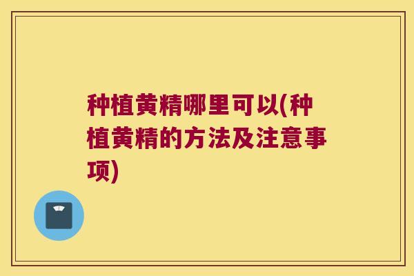 种植黄精哪里可以(种植黄精的方法及注意事项)