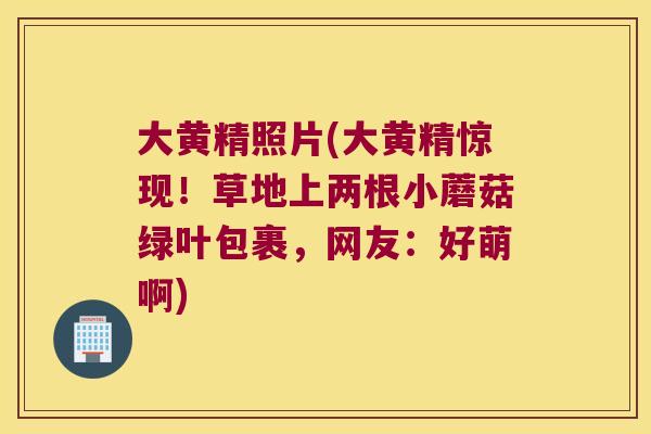 大黄精照片(大黄精惊现！草地上两根小蘑菇绿叶包裹，网友：好萌啊)