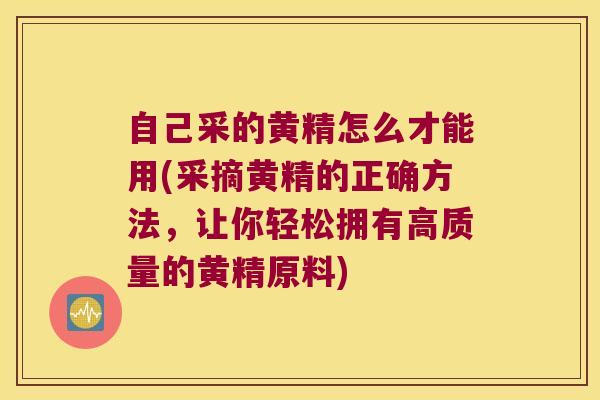 自己采的黄精怎么才能用(采摘黄精的正确方法，让你轻松拥有高质量的黄精原料)