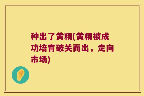 种出了黄精(黄精被成功培育破关而出，走向市场)