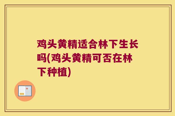 鸡头黄精适合林下生长吗(鸡头黄精可否在林下种植)