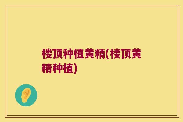 楼顶种植黄精(楼顶黄精种植)