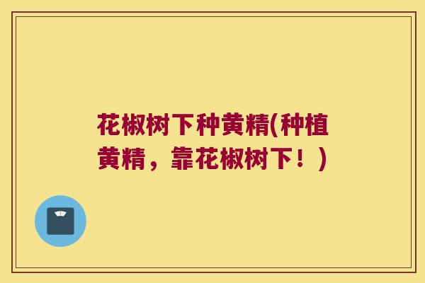 花椒树下种黄精(种植黄精，靠花椒树下！)