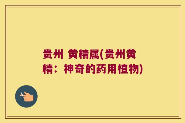 贵州 黄精属(贵州黄精：神奇的药用植物)