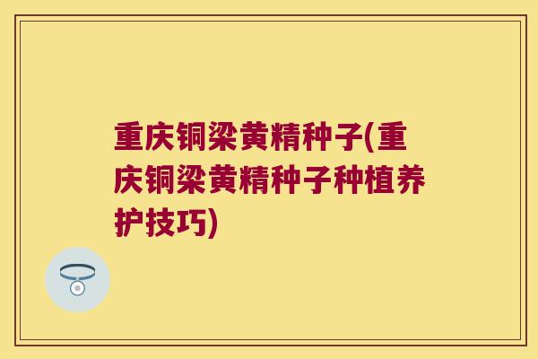 重庆铜梁黄精种子(重庆铜梁黄精种子种植养护技巧)