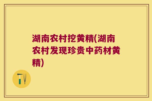 湖南农村挖黄精(湖南农村发现珍贵材黄精) 湖南农村挖黄精(湖南农村发现珍贵材黄精)