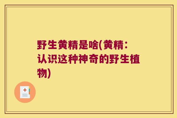 野生黄精是啥(黄精：认识这种神奇的野生植物)