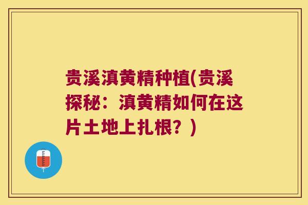 贵溪滇黄精种植(贵溪探秘：滇黄精如何在这片土地上扎根？)