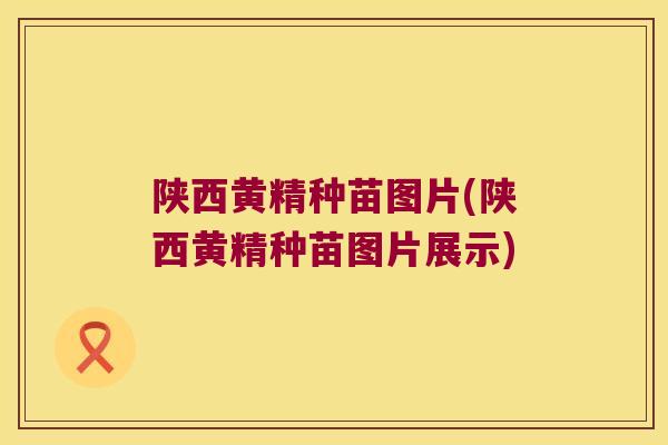陕西黄精种苗图片(陕西黄精种苗图片展示)