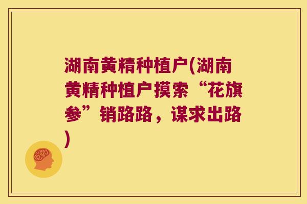 湖南黄精种植户(湖南黄精种植户摸索“花旗参”销路路，谋求出路)