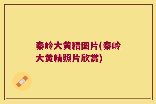 秦岭大黄精图片(秦岭大黄精照片欣赏)
