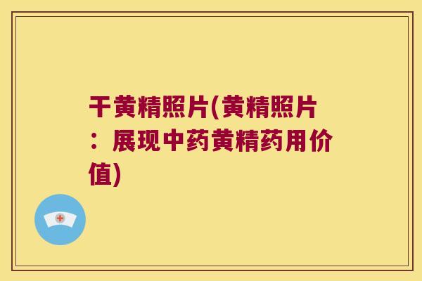 干黄精照片(黄精照片：展现黄精药用价值)