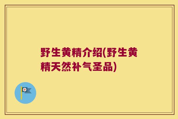 野生黄精介绍(野生黄精天然圣品)