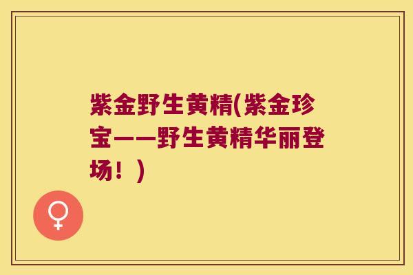 紫金野生黄精(紫金珍宝——野生黄精华丽登场！)