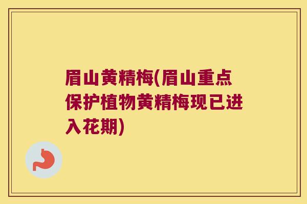 眉山黄精梅(眉山重点保护植物黄精梅现已进入花期)