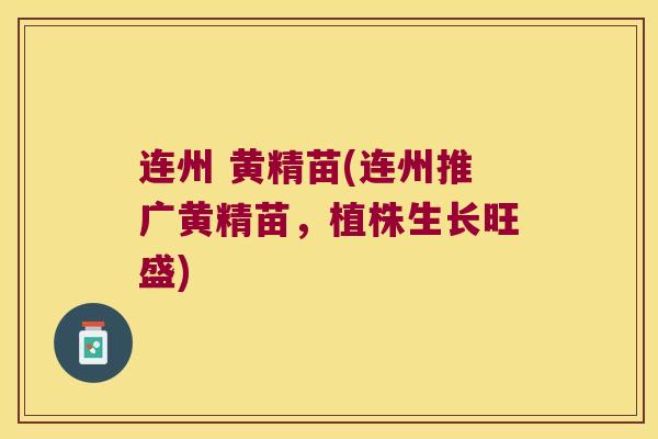 连州 黄精苗(连州推广黄精苗,植株生长旺盛) 连州 黄精苗(连州推广黄精苗,植株生长旺盛)
