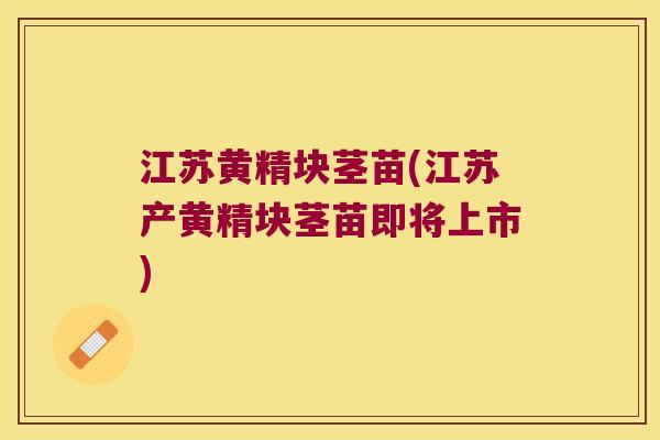 江苏黄精块茎苗(江苏产黄精块茎苗即将上市)